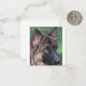 deutscher Hirte Mitteilungskarte (Vorderseite/Rückseite Beispiel)