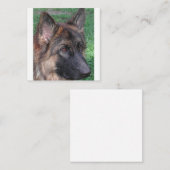 deutscher Hirte Mitteilungskarte (Vorne/Hinten)