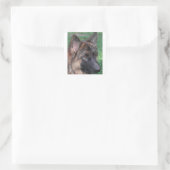 deutscher Hirte Quadratischer Aufkleber (Tasche)