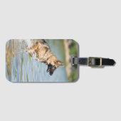 Deutscher Hirte springt ins Wasser Gepäckanhänger (Vorderseite (Horizontal))
