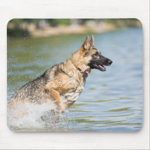 Deutscher Hirte springt ins Wasser Mousepad
