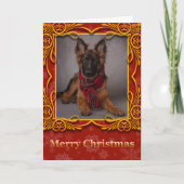 Deutscher Hirte Weihnachtskarte. Feiertagskarte (Vorderseite)