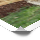 Deutscher Hirtenalarm Poster (Ecke)