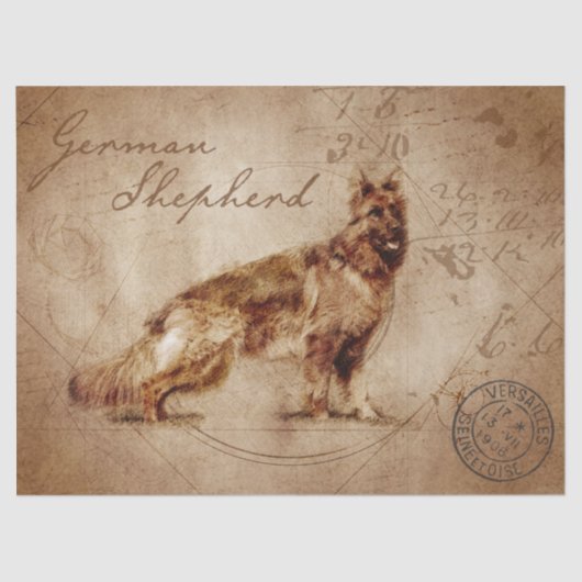 Deutscher Hirtendecoup Seidenpapier (Vorderseite)