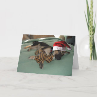 Deutscher Hirtenjunge mit Weihnachtsmannmütze Feiertagskarte
