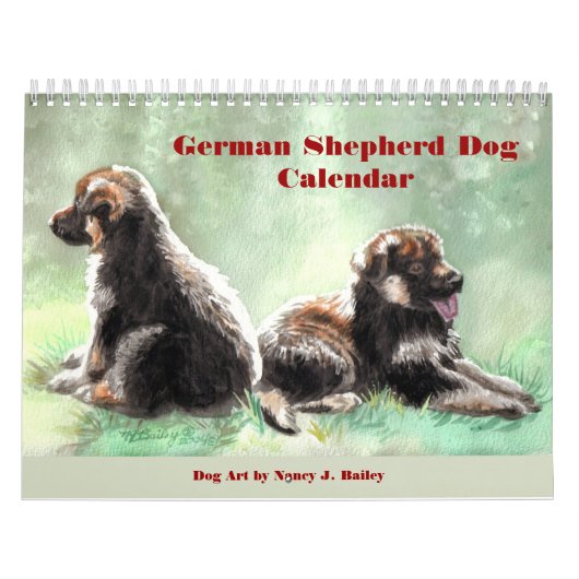 Deutscher Hirtenkalender Kalender (Titelbild)