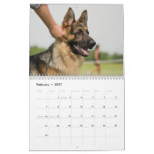 Deutscher Hirtenkalender Kalender (Feb 2027)