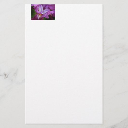Deutscher Iris Briefpapier (Vorderseite)