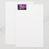 Deutscher Iris Briefpapier (Vorne/Hinten)