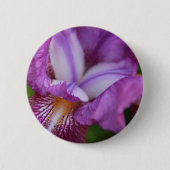 Deutscher Iris Button (Vorderseite)