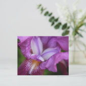 Deutscher Iris Postkarte (Stehend Vorderseite)
