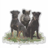 Deutscher Jagdschrecker Aufkleber (Vorderseite)