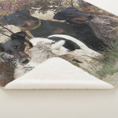 Deutscher Jagdterer Platz Uhr Kaffee Mu Sherpadecke (3/4)