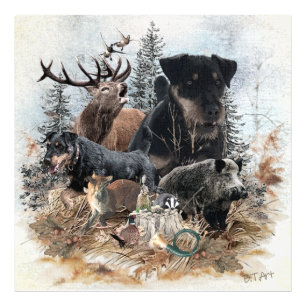 Deutscher Jagdterrier (Jagdterrier) Fotodruck