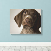 Deutscher Kurz-Haarbärlöffel Leinwanddruck (Insitu (Holzboden))