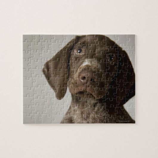 Deutscher Kurz-Haarbärlöffel Puzzle (Horizontal)