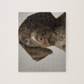 Deutscher Kurz-Haarbärlöffel Puzzle (Vertikal)