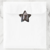 Deutscher Kurzgeber Pointer Dog Stern-Aufkleber (Tasche)