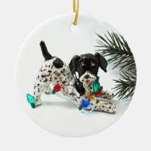 Deutscher Kurzgeber Zeiger Weihnachtsschmuck