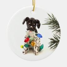 Deutscher Kurzgeber Zeiger Weihnachtsschmuck