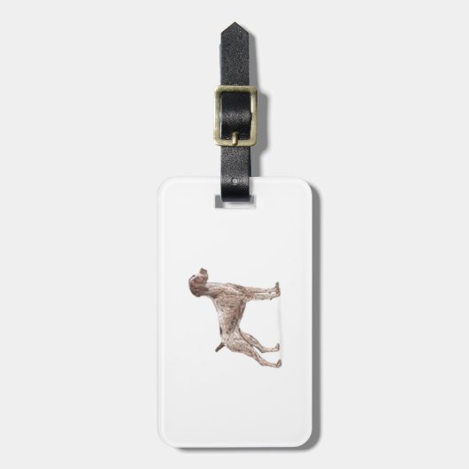 Deutscher kurzhaariger Zeiger Gepäckanhänger (Vorderseite vertikal)