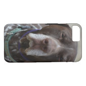 Deutscher kurzhaariger Zeiger-Hund Case-Mate iPhone Hülle (Rückseite (Horizontal))