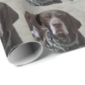 Deutscher kurzhaariger Zeiger-Hund Geschenkpapier (Rolleneckpunkt)
