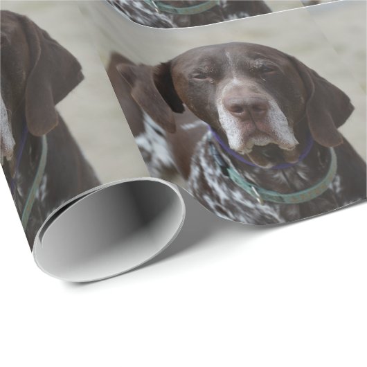 Deutscher kurzhaariger Zeiger-Hund Geschenkpapier (Rolleneckpunkt)
