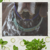 Deutscher kurzhaariger Zeiger-Hund Handtuch (Gefaltet)