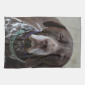 Deutscher kurzhaariger Zeiger-Hund Handtuch (Horizontal)
