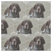 Deutscher kurzhaariger Zeiger-Hund Stoff (Muster)