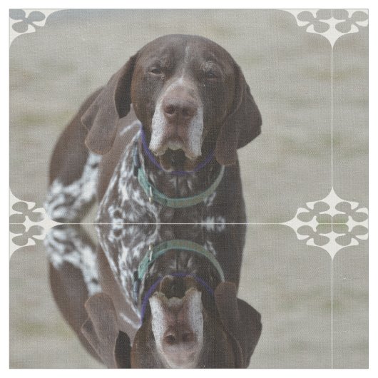 Deutscher kurzhaariger Zeiger-Hund Stoff (Nahaufnahme)