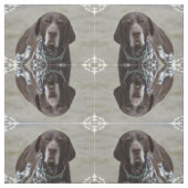 Deutscher kurzhaariger Zeiger-Hund Stoff (Muster)