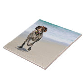 Deutscher kurzhaariger Zeiger - Luke - Riley Fliese (Seite)