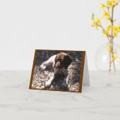 Deutscher kurzhaariger Zeiger-Welpe Chillin Karte (Gelbe Blume)