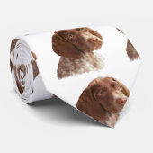 Deutscher Kurzschwanz-Welpe Krawatte (Gerollt)