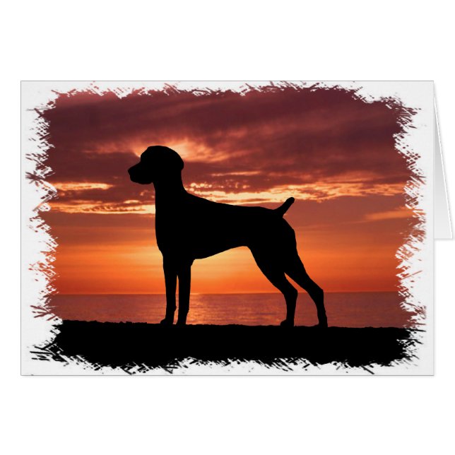 Deutscher Kurzzeiger (Vorderseite (Horizontal))