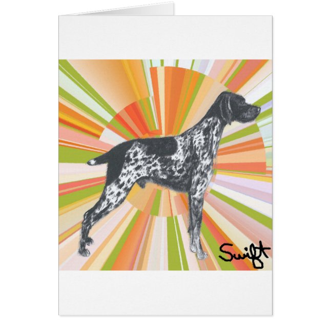 Deutscher Kurzzeiger (Vorne)