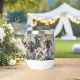 Deutscher Kurzzeiger