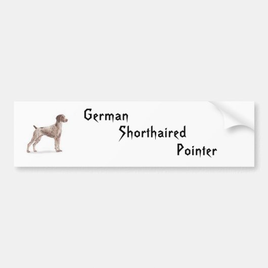 Deutscher Kurzzeiger Autoaufkleber (Vorne)