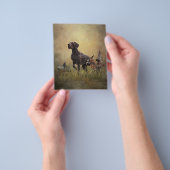 Deutscher Kurzzeiger Flyer (Gruppe)