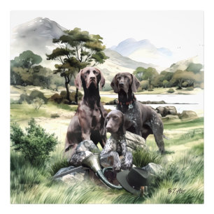 Deutscher Kurzzeiger Fotodruck