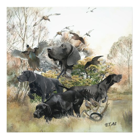 Deutscher Kurzzeiger Fotodruck (Vorne)