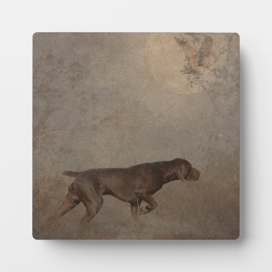 Deutscher Kurzzeiger Fotoplatte (Vorderseite)