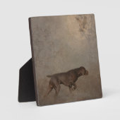 Deutscher Kurzzeiger Fotoplatte (Vorderseite)