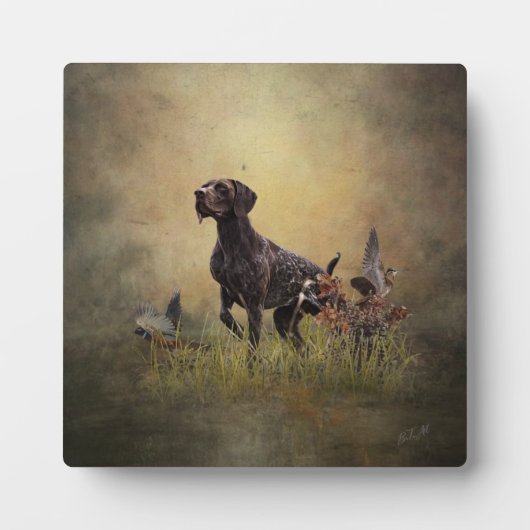 Deutscher Kurzzeiger Fotoplatte (Vorderseite)