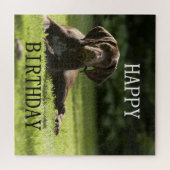 Deutscher Kurzzeiger Geburtstag Puzzle (Horizontal)