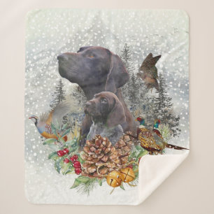 Deutscher Kurzzeiger im Winter Sherpadecke