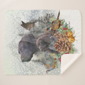 Deutscher Kurzzeiger im Winter Sherpadecke (Vorderseite (Horizontal))