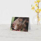 Deutscher Kurzzeiger Karte (Gelbe Blume)